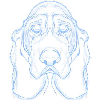 basset-hs-sketch