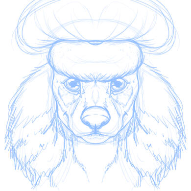 poodle-hs-sketch